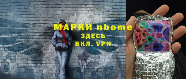 индика Алзамай