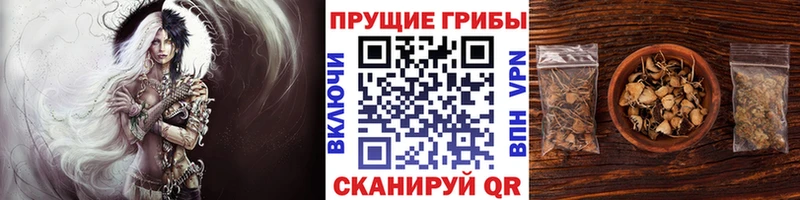 Галлюциногенные грибы MAGIC MUSHROOMS  Купить  Саки 