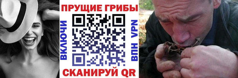 Псилоцибиновые грибы прущие грибы Саки